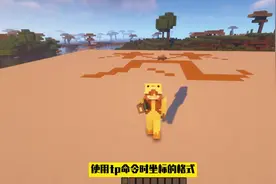 #我的世界mc 使用tp指令时坐标的格式#我的世界