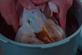这个夏天你一要学会的凉拌柠檬鸭，酸爽开胃，我相信你只要吃上一口一定会爱上它#凉拌柠檬鸭 #柠檬鸭 #广西名菜视频封面