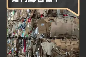 废纸回收生意，竟然能造首富？#商界生意经 #玖龙纸业 #废品回收 视频封面