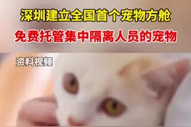 4月3日，深圳建立了全国首个“宠物方舱”，免费托管集中隔离人员的宠物。