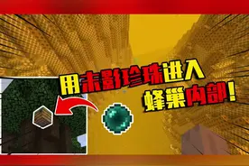 我的世界mod：把末影珍珠扔进蜂窝，竟来到了蜂巢维度！ #我的世界