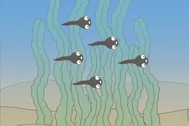 话不投机，赶紧跑😂#小蝌蚪找妈妈 