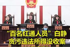 “百名红通人员”白静贪污违法所得没收案一审宣判视频封面