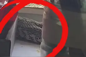 近日西安消防接报警称，一位大爷家中进了一条大蟒蛇，到场后却发现其实是一块放硬了的抹布。视频封面