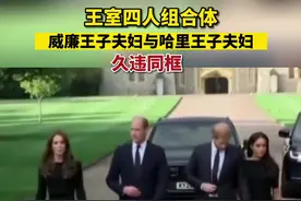 王室四人组合体，威廉王子夫妇与哈里王子夫妇久违同款视频封面