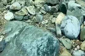 #网友拍到鱼好像在空中游 《小石潭记》一样的画面，水也太清了……视频封面