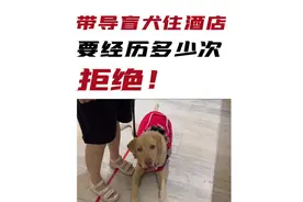 我国每80个人中就有1位盲人，为什么在路上却很少遇到视频封面