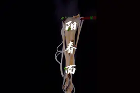 阳春面，这种做法您肯定没吃过。#宅家抖出好食光 #抖音美食创作者 #美食趣味计划 #美食教程 #阳春面家常做法 #阳春面教程 视频封面
