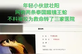 小伙网购泰国眼镜毒蛇被咬，为救命连转3家医院！#上热门 #真实事件 #指槐 @抖音短视频视频封面