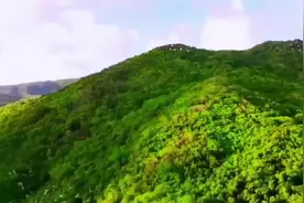 清明时节祭祀时 要注意林区用火安全#临港视频封面