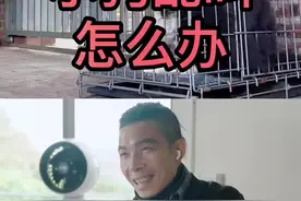 #小狗乱叫怎么办 准备好纸巾视频封面