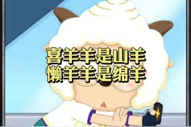#原来喜羊羊和懒羊羊不是同一个品种，喜羊羊是山羊，懒羊羊是绵羊！难怪两只羊性格不一样！