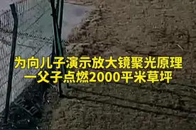 一父亲为孩子科普放大镜实验，结果烧了2000平米大草坪#平安浦东视频封面