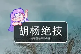 #胡杨 唯一不受盐碱地和干旱“胁迫”的天然存在的乔木，进化出很多不可思议的生存机制！#涨知识视频封面