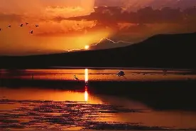 手机桌面壁纸，101张总有你喜欢的吧