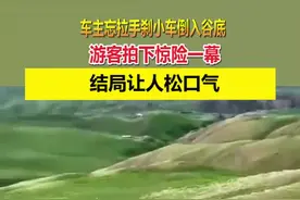 车主忘拉手刹小车倒入谷底，游客拍下惊险一幕，结局让人松口气视频封面