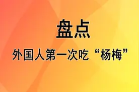 外国人第一次吃杨梅，竟然吃上瘾，抱怨为什么外国没种这个#杨梅视频封面