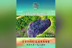 #新宁德 风景秀丽！宁德 #百乡千村行 “湖上一回首，青山卷白云”，走进屏南新田村天湖顶湿地！#乡村振兴 #湿地 #山海宁德 视频封面