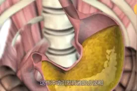 你知道吗？当你饭还未吃下时胃就已经开始工作了，为你这个吃货立下汗马功劳#医学