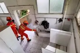 眼镜蛇🐍误入学校女厕，蓝朋友果断出手制服#全心全意为人民服务视频封面