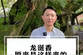 约一约去海边捡这个啊#星河知识计划 #渊博文化星 #我的生活新姿势 #全能导游 #旅游大玩家 #海域寻宝 #寻宝 #寻找东方珍稀 #龙涎香 #涨知识 