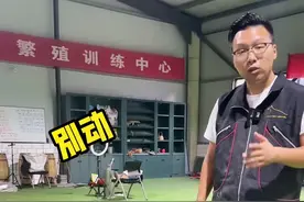 狗狗原地不动的训练方法。#训犬 #狗狗 #宠物训练学校 #狗视频封面