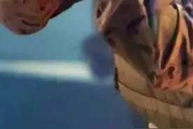 戏里能打，戏外还把吴京打败了（五）#明星#娱乐#任天野#吴京视频封面