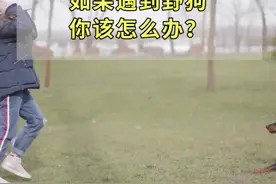如果遇到野狗,你该怎么办？#涨知识 视频封面