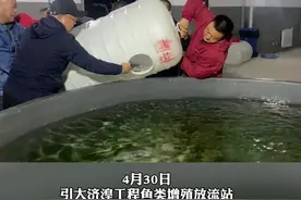 #青海 引大济湟工程引进首批“亲鱼”（记者 李增平）视频封面
