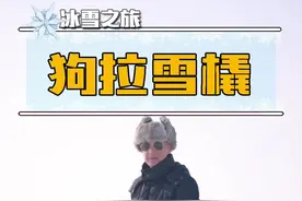 阿拉斯加和二哈,你喜欢哪一只？#喜提2020头运 #你好2020 @抖音短视频视频封面