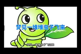 #周公解梦  梦见一堆堆虫子飞来视频封面