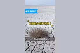 甘肃真的缺水？全网甘肃人，今天的水你打了吗？#甘肃 @抖音短视频视频封面