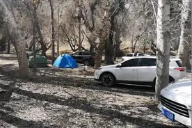 清明假期哈熊沟露营视频封面