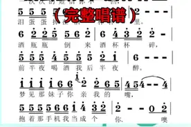 《泪蛋蛋掉在酒杯杯里》完整唱谱训练 #简谱  #视唱  #泪蛋蛋掉在酒杯杯里视频封面