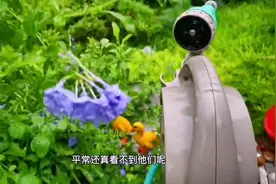 绵绵细雨润万物，深深问候暖身心。雨天注意保暖，别着凉，朋友们视频封面