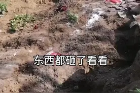 熊孩子破坏独居老人住处，网友：欺负“弱小”是恶的开始！ @天中晚报 @驻马店网视频封面