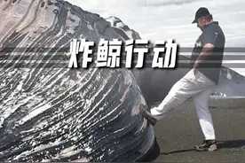 以“爆”制“爆”，鲸生从未有过的高度#知识创作人 #涨知识 #我是工程师视频封面