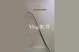 OV6946的蛇骨应用，外径3.1毫米，查探利器。可以进入人体，哪里不爽照哪里。#摄像头 #内窥镜 #电子产品 #黑科技 视频封面