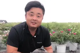 一般甲维盐是不可以打蓟马的 这个毛毛虫 蓟马效果都不错视频封面
