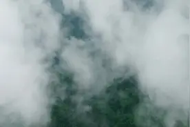 深山奇食，利川柏杨豆干！视频封面
