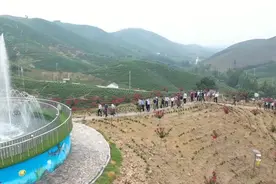 中国黄金芽第一县是哪里？我的家乡安徽广德市！黄金芽是什么视频封面
