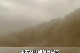 我国荒漠化、沙化、石漠化面积持续缩减视频封面