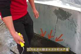 论一个漏水的水池如何补救翻新。#鱼池 #水池防水 #施工现场实拍视频封面