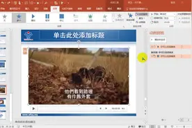 PPT30如何添加进入退出动画及调节