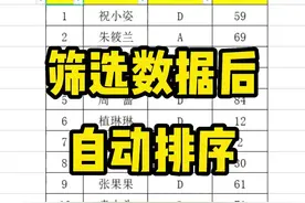对表格进行一个筛选后，序号就乱了？到底该如何设置成自动排序呢#办公技巧 #wps表格 #excel教学 