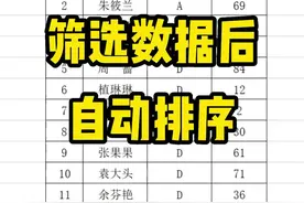 对表格进行一个筛选后，序号就乱了？到底该如何设置成自动排序呢#办公技巧 #wps表格 #excel教学 