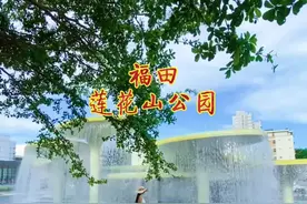 #深圳 #莲花山公园#蘑菇喷泉 草坪可以野餐 放风筝，莲花山山顶一眼望向整个市民中心最佳的观景点#深圳周末好去处 #我的完美旅行 #旅行大玩家视频封面