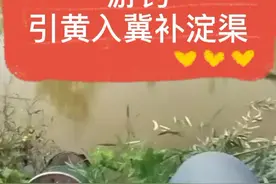 #游钓引黄入冀补淀 #摩旅 #钓鱼 #求关注求点赞 #抖音记录美好生活 有空耍两杆子，双飞连中@抖音短视频视频封面
