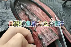 真假鳄鱼皮怎么去分辨，这个视频可以告诉你，建议看完收藏起来视频封面