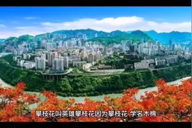 英雄攀枝花的由来视频封面